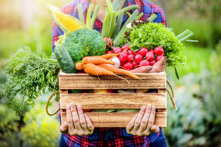 Photograph of crate full of vividly colored vegetables